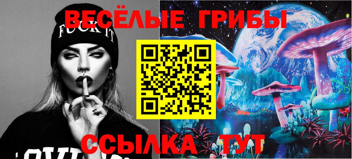 Реж  Псилоцибиновые грибы Psilocybine cubensis  Вход с VPN 