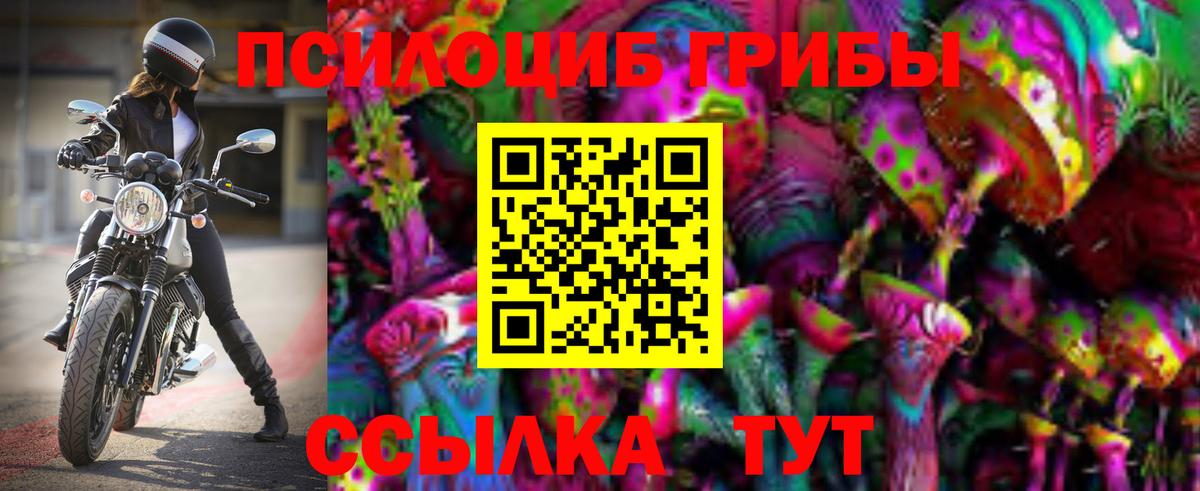 Псилоцибиновые грибы Magic Shrooms Реж